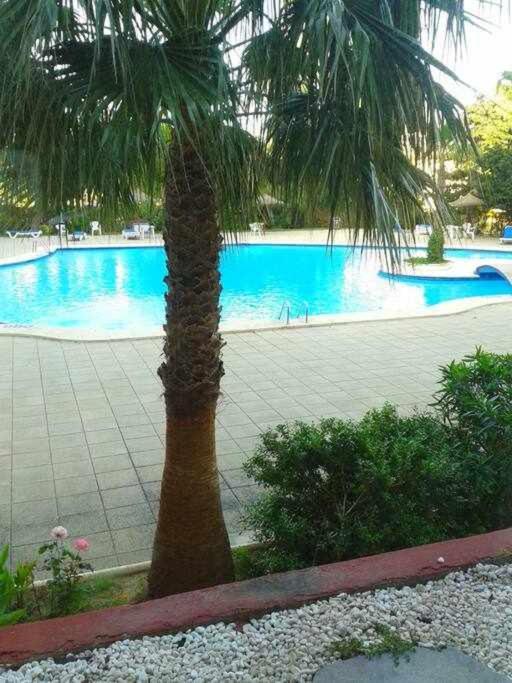 Piso Moderno Con Piscina Siesta 2 Lägenhet Port de Alcudia  Exteriör bild